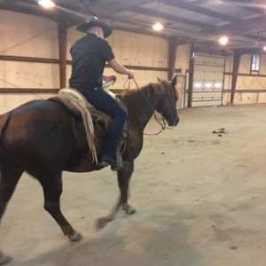 Meet your Posher, Luis